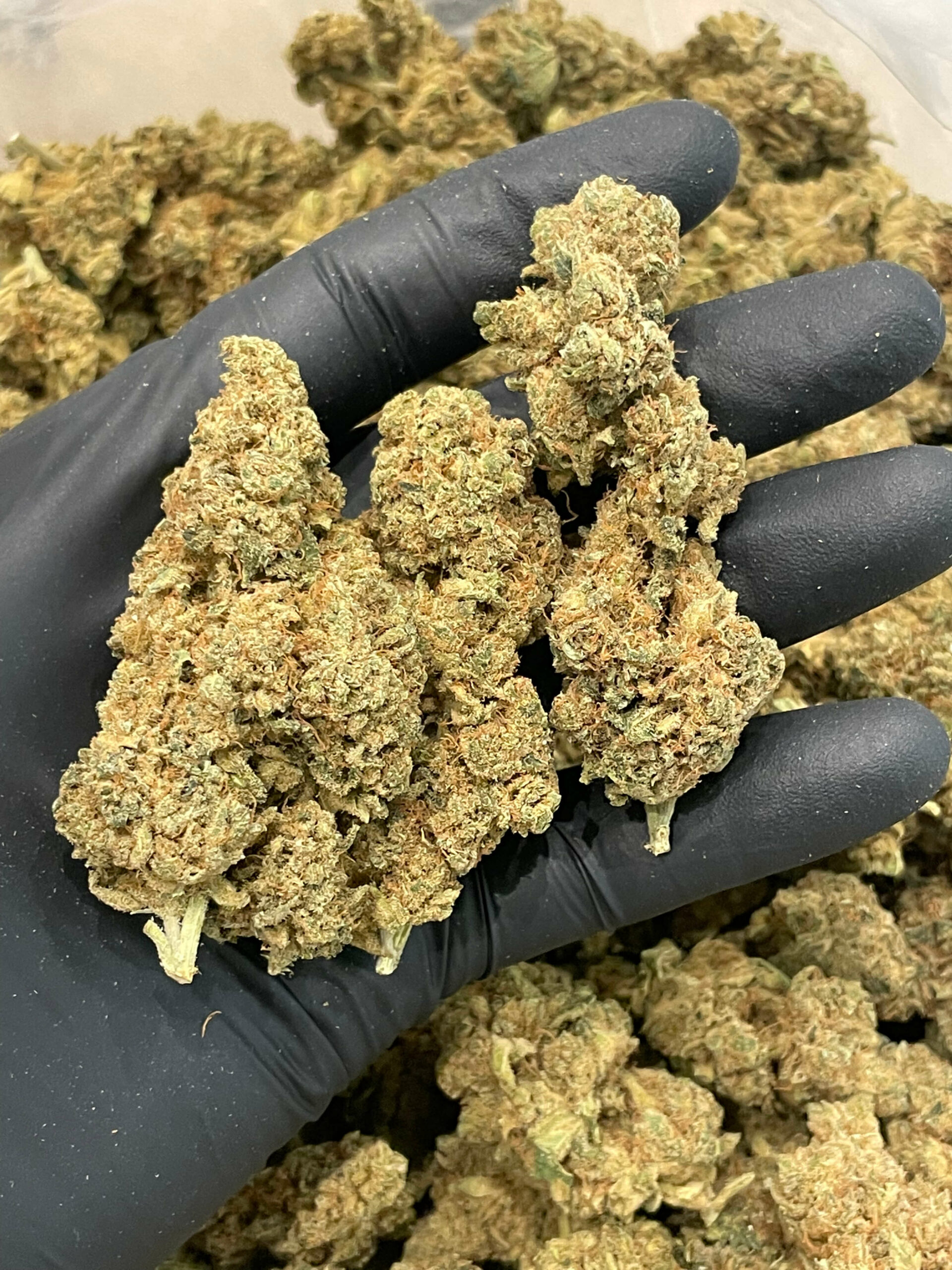 HHC Flower Rockstone CBD