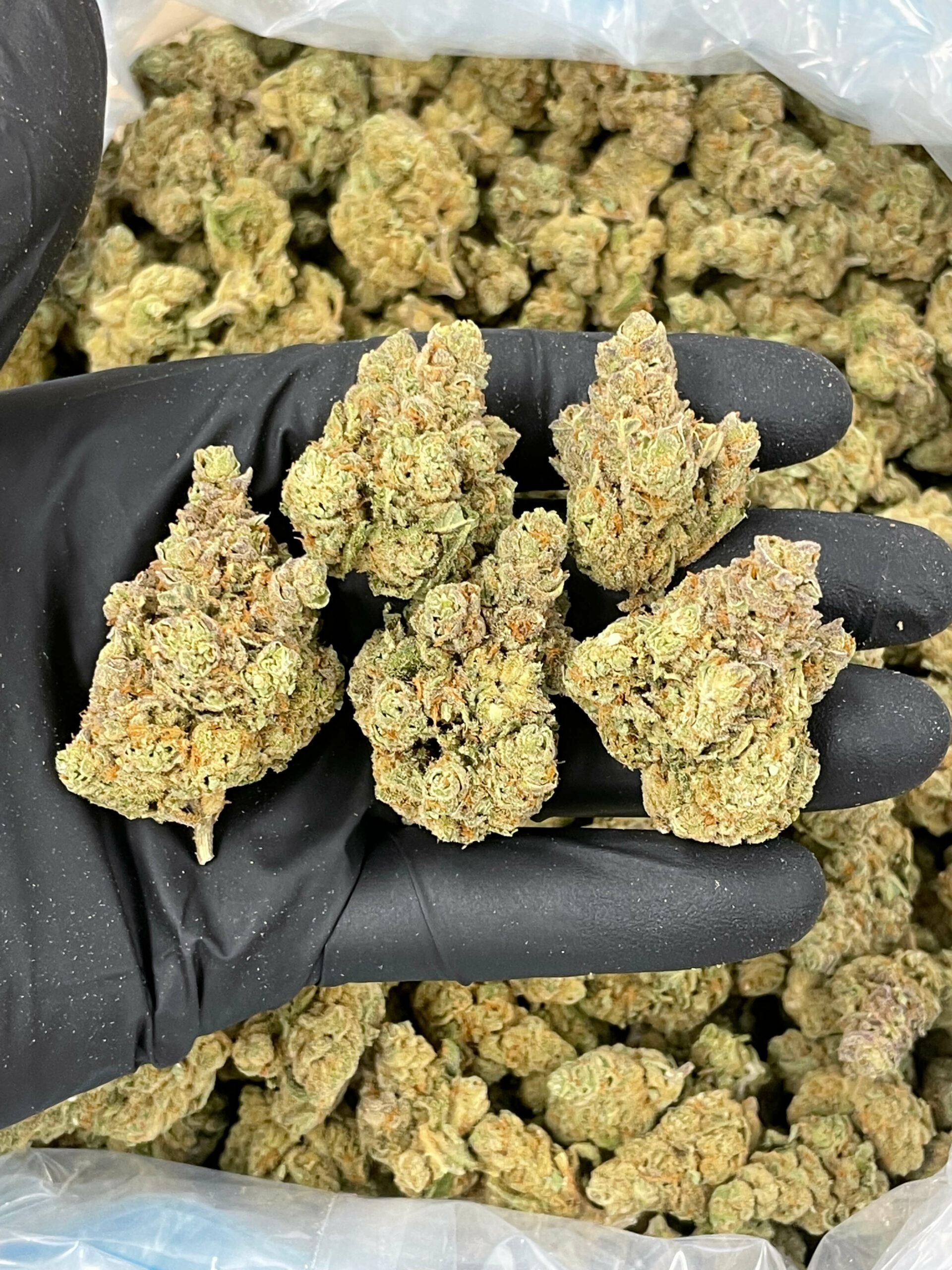Flower CBD Rockstone